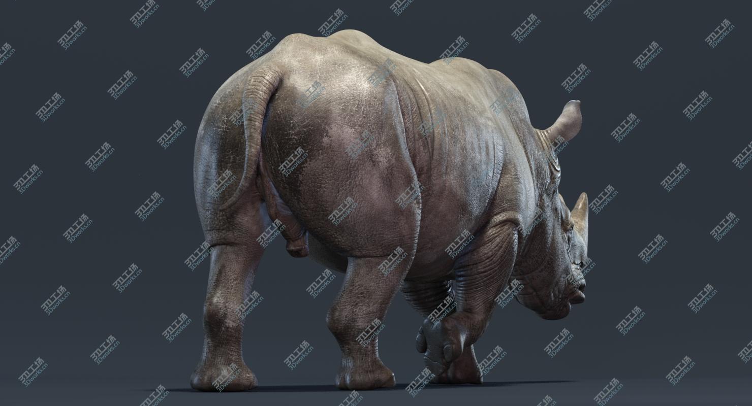 images/goods_img/20210319/Rhino (Animated) 3D model/5.jpg